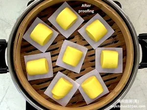 2 Pcs Bao Bun Kit Steamed Bun Mould Making Mold Steamed Chinese