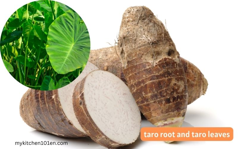 taro roots and taro leaves