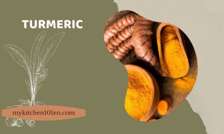From Curry to Health: How Turmeric Can Improve Your Well-Being