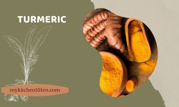 From Curry to Health: How Turmeric Can Improve Your Well-Being