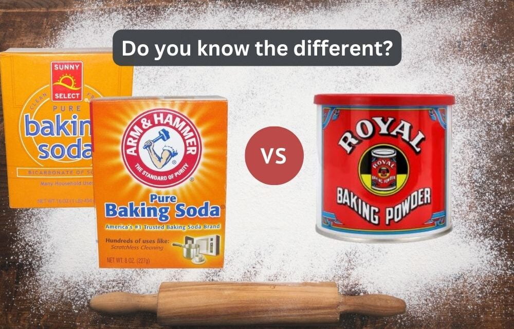 Baking Soda vs Baking Powder Do You Know the Difference