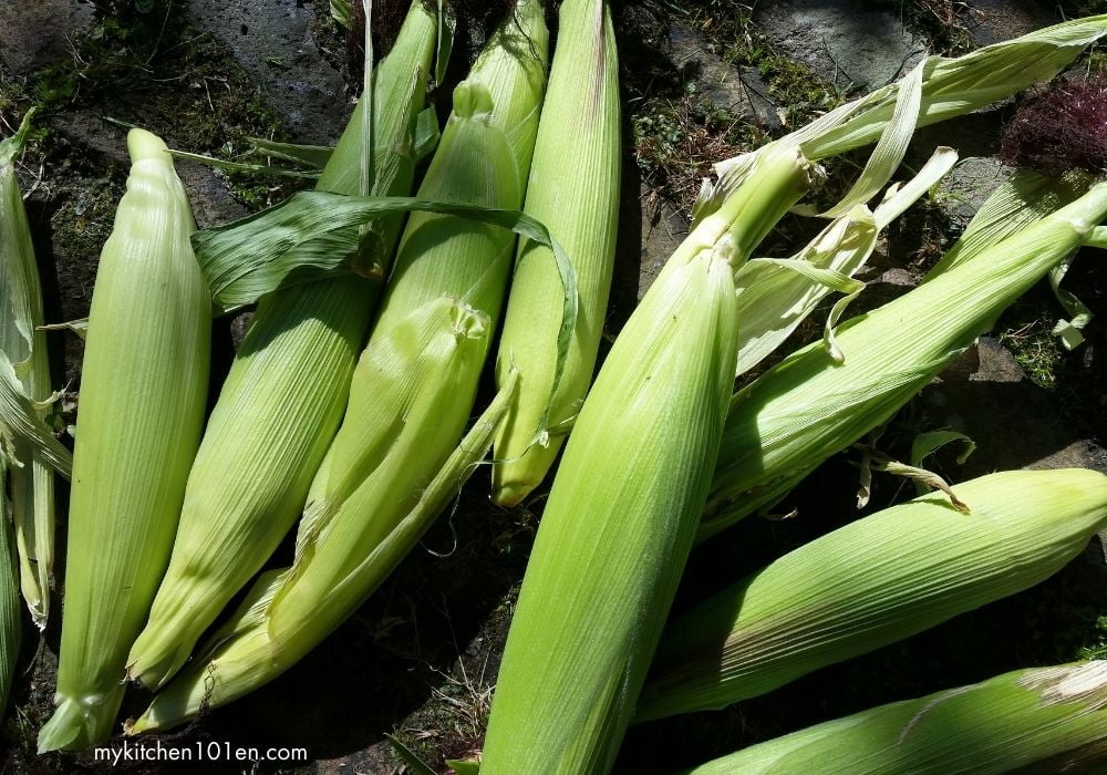 fresh corn cob